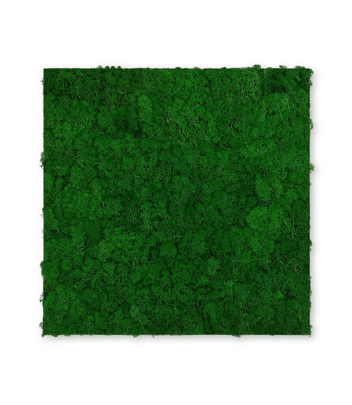 Wandpaneel Jangal Modular Wall, Nature Green Moos