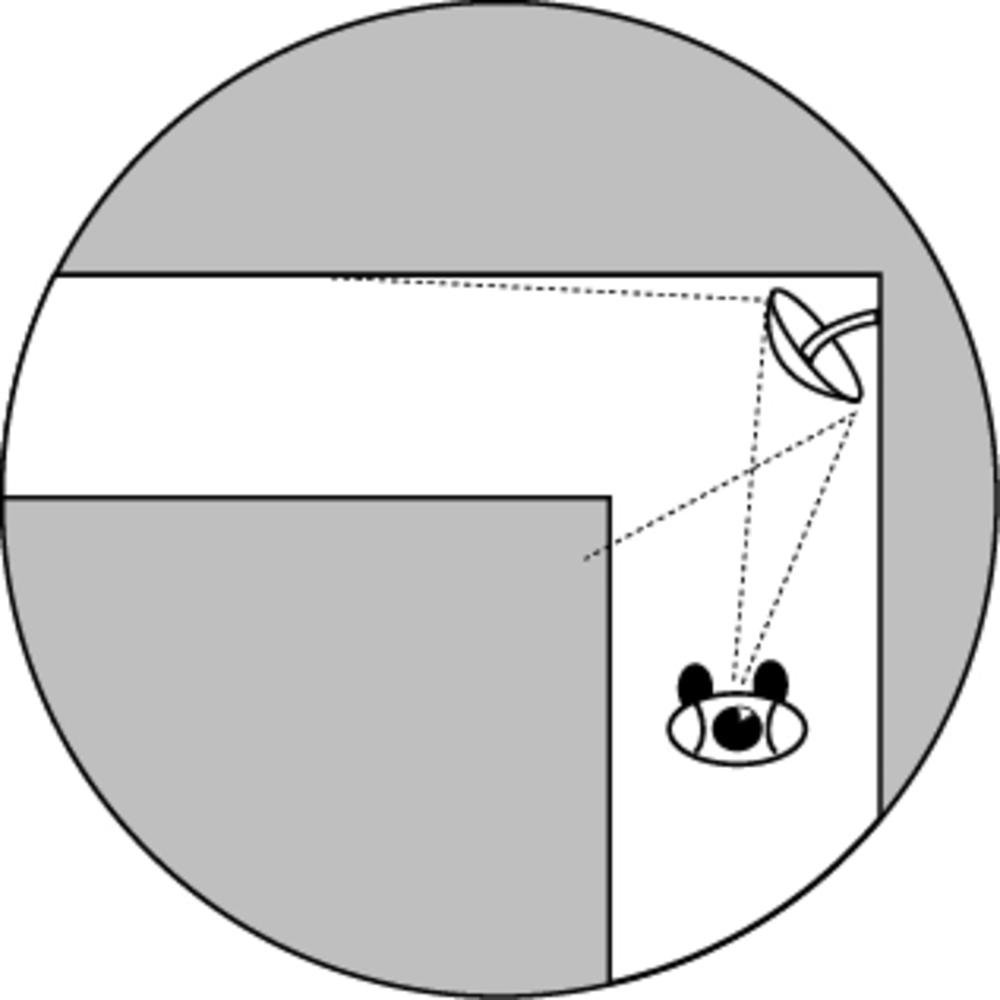 Überwachungsspiegel „Konvex” für Shops