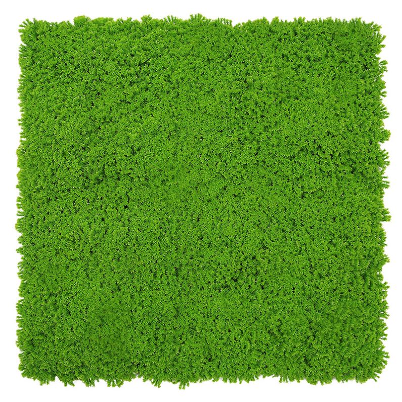 JANGAL Wandpaneel Modular Wall Lime Green Design Moos