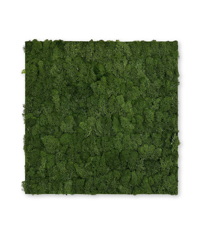 Wandpaneel Jangal Modular Wall, Darkt Green Moos