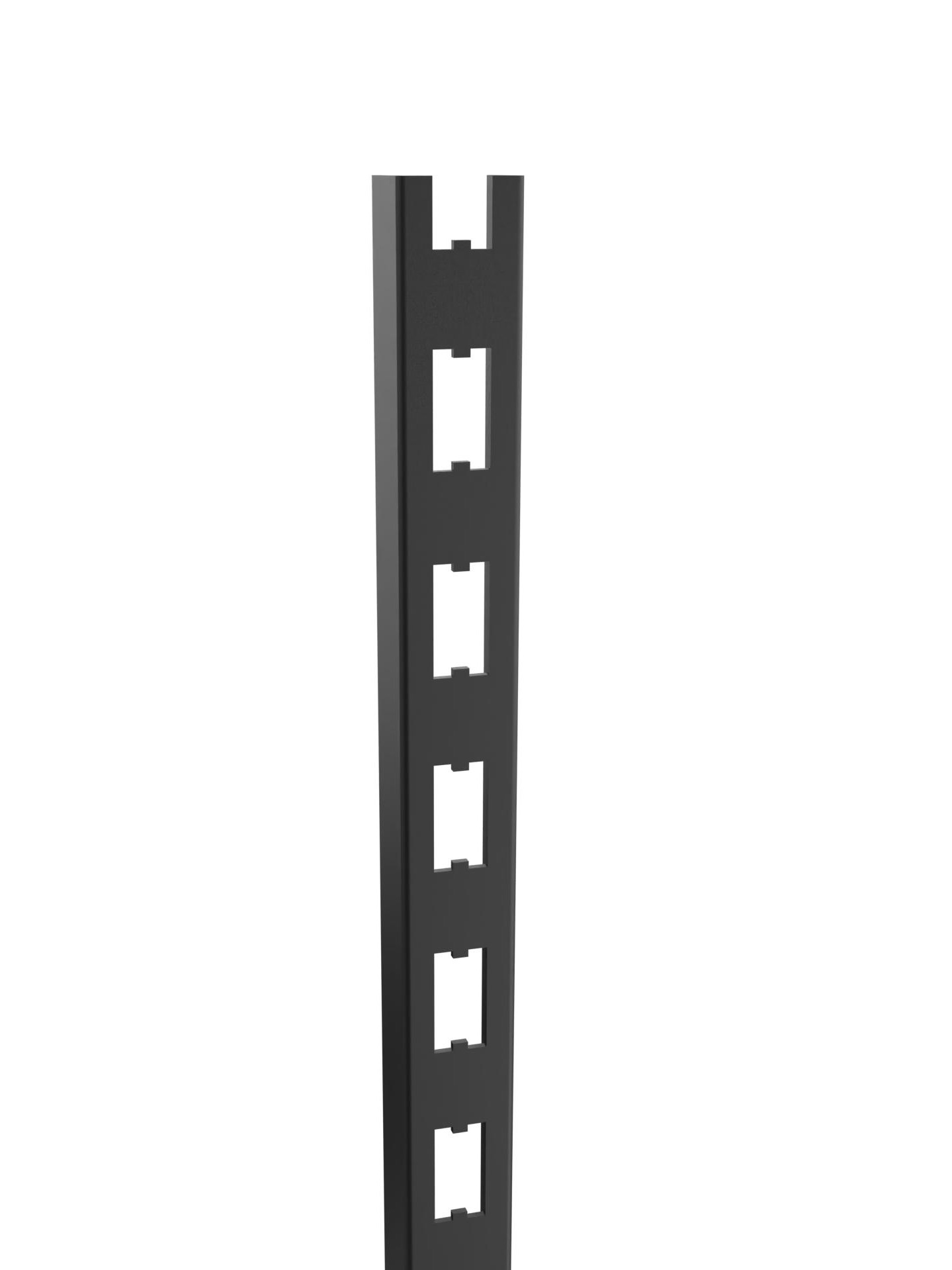 Wandschiene New York - schwarz oder verchromt mit H-Lochung - 120 cm