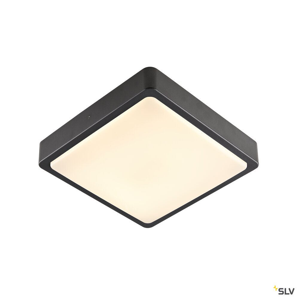 AINOS, Outdoor LED Wand- und Deckenaufbauleuchte anthrazit CCT switch 3000/4000K