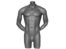 Kunststoff Torso männlich