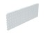 Lichtgrau RAL 7035