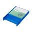 Blau